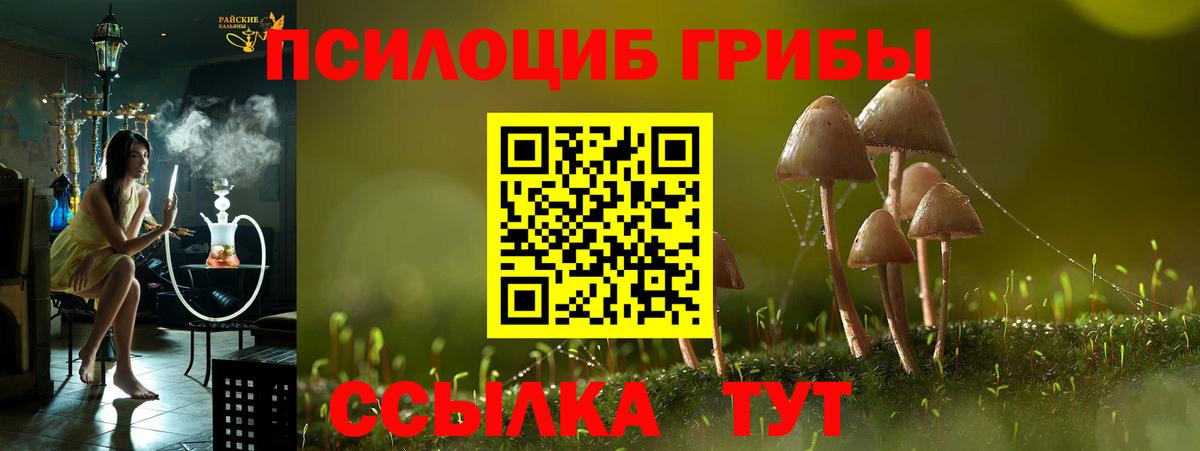 где можно купить наркотик  Псилоцибиновые грибы ЛСД  Кувандык  Вход с VPN  Галлюциногенные грибы GOLDEN TEACHER 